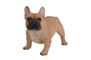 87765 - DOG-FRENCH BULLDOG-LARGE